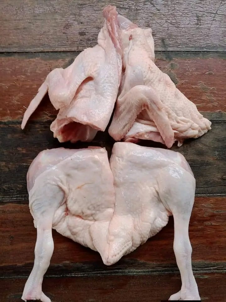 Bebek hibrida 1 of 3
