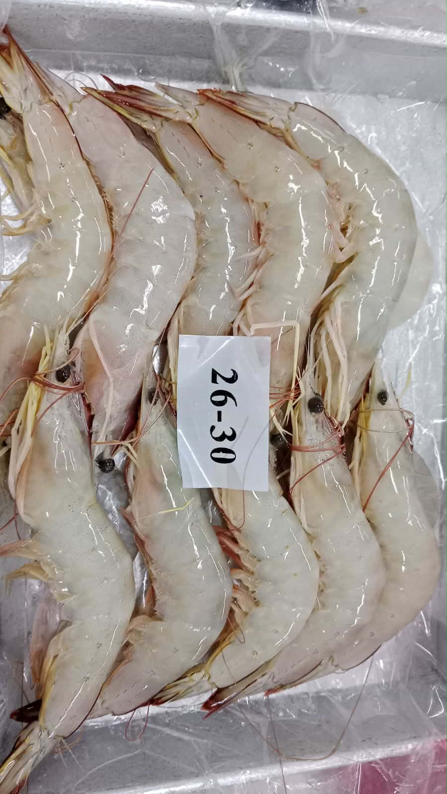 Udang Vannamei 1 of 3