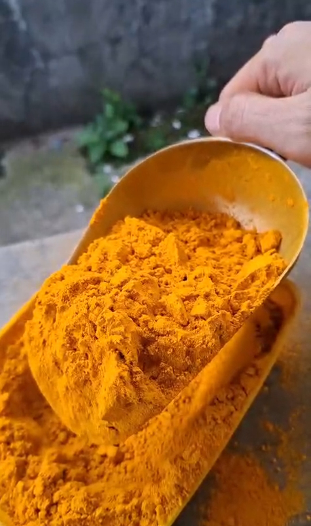 Kunyit powder organik 1 of 2
